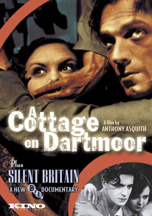 A Cottage on Dartmoor Poster