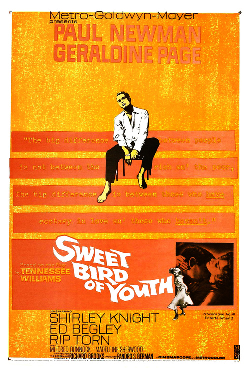 Sweet Bird of Youth Poster