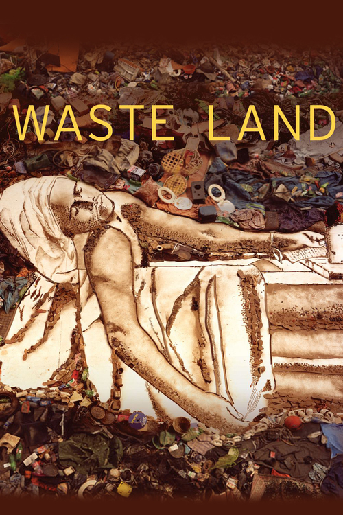 2010 Waste Land movie poster